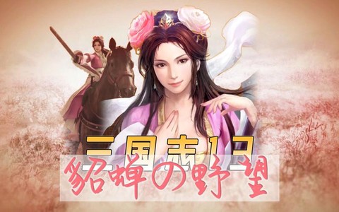 三国志13如何欢谈