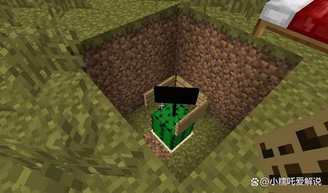 我的世界仙人掌怎么种[图2]