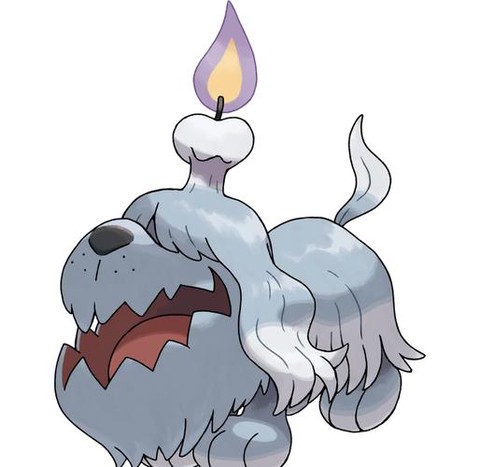 口袋妖怪狗圈是什么[图1]