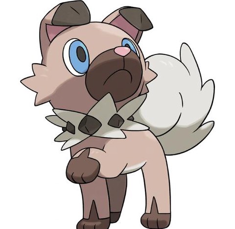 口袋妖怪狗圈是什么[图2]