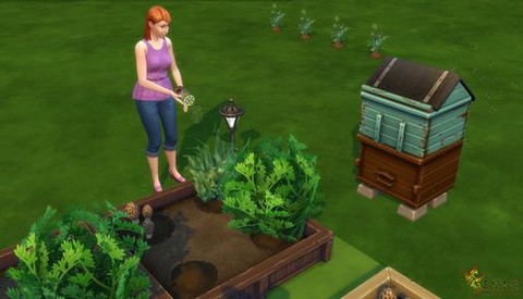 模拟人生4怎么草药[图1]