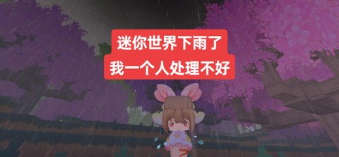 迷你世界下雨有什么用