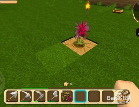 新版迷你世界怎么种花